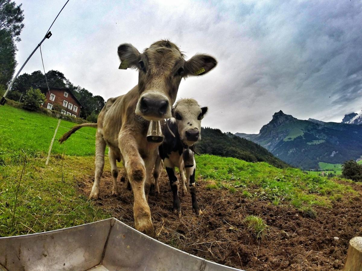 Hostel Engelberg "Mein Trail Hostel" Eksteriør billede